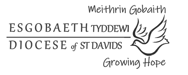 St Davids logo, with the outline of a dove to the right.
